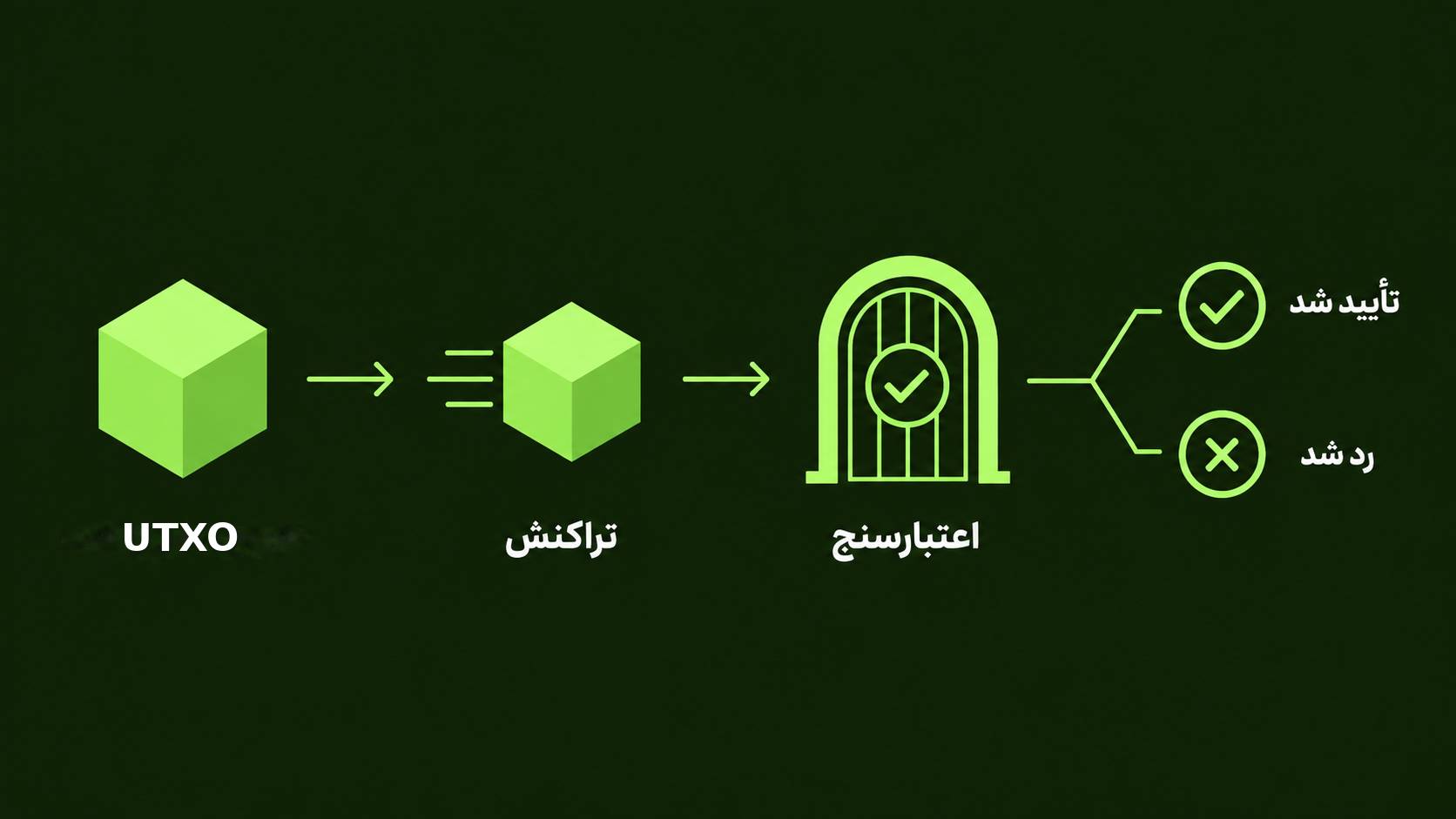 اینفوگرافیک نحوه عملکرد قرارداد هوشمند کاردانو از UTXO تا Validator